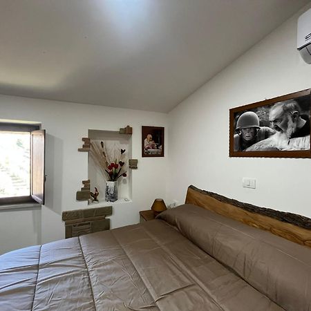 Dimora Forgione B&B - 皮耶特雷尔奇纳 外观 照片
