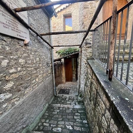 Dimora Forgione B&B - 皮耶特雷尔奇纳 外观 照片
